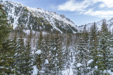 Zima w Tatrach, Widok na Dolinę Rybiego Potoku, z drogi do Morskiego Oka, ośnieżone drzewa 