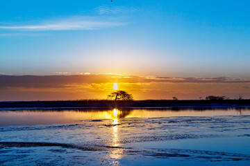 日の出に染まる西別川と１本松（別海町）