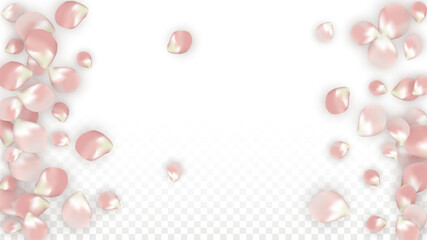 Pink Vector Realistic Petals Falling on Transparent Background.  Spring Romantic Flowers Illustration. Flying Petals. Sakura Spa Design. Blossom Confetti. Design Elements for Wedding Decoration.