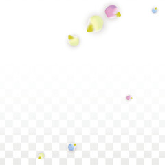 Vector Realistic Colorful Petals Falling on Transparent Background.  Spring Romantic Flowers Illustration. Flying Petals. Sakura Spa Design. Blossom Confetti. Design Elements for Wedding Decoration.