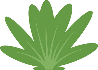 shrub and tree illustration