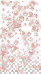 Pink Vector Realistic Petals Falling on Transparent Background.  Spring Romantic Flowers Illustration. Flying Petals. Sakura Spa Design. Blossom Confetti. Design Elements for Wedding Decoration.