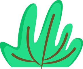 bush and plant illustration