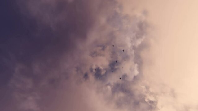 Bomber Military Planes 3D Video Animation