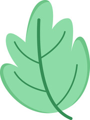 leaf and plant illustration