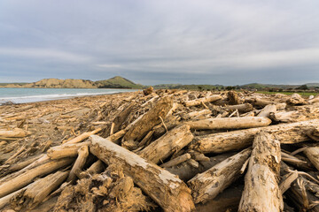Forestry slash on Tolaga Bay beach, NZ following a storm that washed the slash off the surrounding...