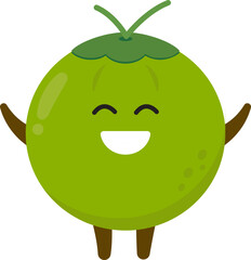 Coconut Cartoon Character