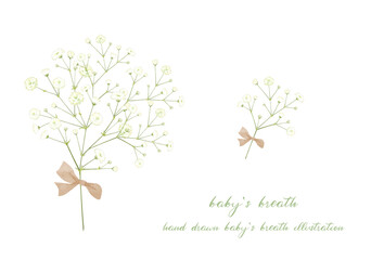 手書きで描いたカスミソウの素材セット