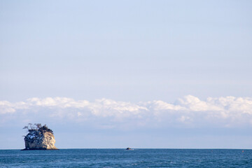 Fototapeta premium 1つの島の松島