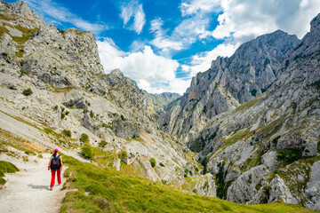 Obraz premium Ruta del Cares in Picos de Europa National Park, Spain