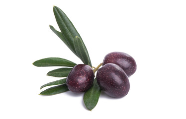 olives with leaves isolated