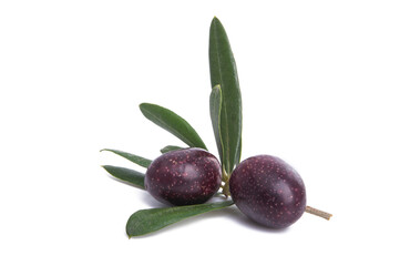 olives with leaves isolated