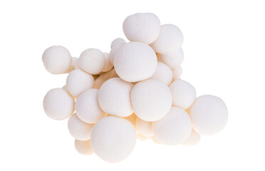 Enoki mushroom isolated