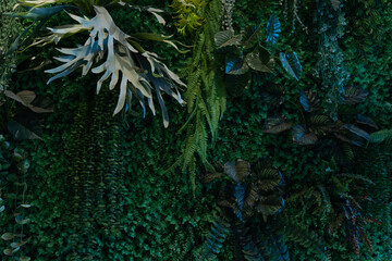 Fototapeta premium Full Frame of Green Leaves Pattern Background, Nature Lush Foliage Leaf Texture, tropical leaf