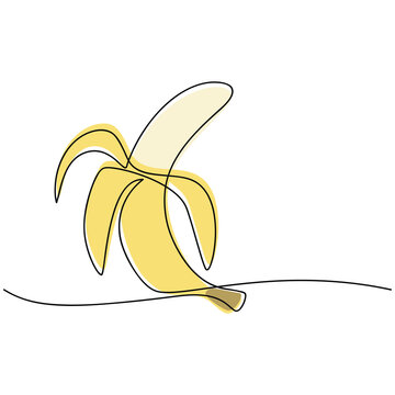 Peeled banana hand drawn vector. One line continuous drawing. Fruit outline icon. Linear silhouette. Minimal design, print, banner, card, brochure, logo, menu.