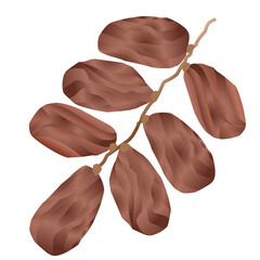 illustration of dates