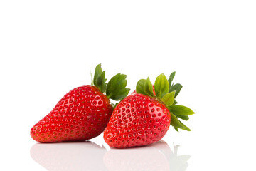 Red ripe strawberry fruits