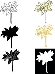 Chrysanthemum background. Chrysanthemums line art. Hand-drawn sketch, vector illustration. Flowers outline. vector illustration of chrysanthemum flowers. linear art and silhouette. 
