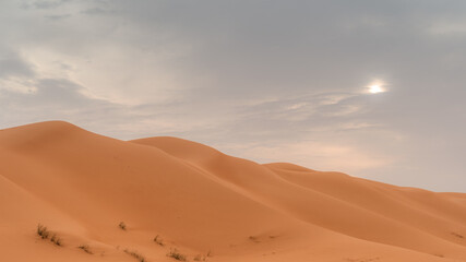 Fototapeta na wymiar desert landscape in Dubai