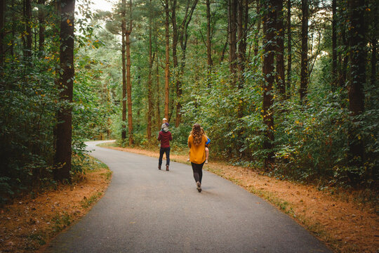 Rear-view of a family walking through a winding forest path in Autumn