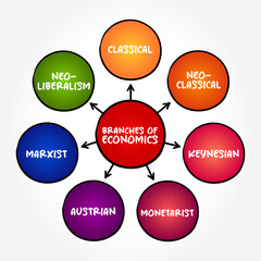 Branches of Economics ( are microeconomics and macroeconomics) mind map concept background