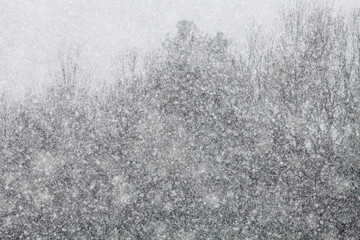 Heavy snow falling with trees in the background.