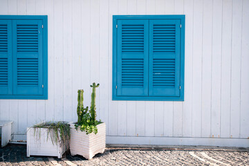 White facade with cactus and blue door on magic Procida Island.