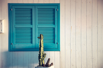 White facade with cactus and blue door on magic Procida Island.