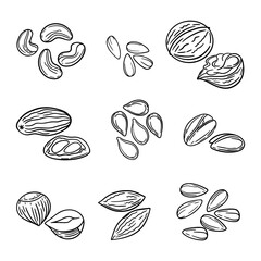 Vector background of dry nuts and seeds - almond, cashew, peanut, walnut, pistachio.