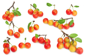 Plums isolated on white background