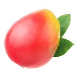 Mango fruit isolated on a white background