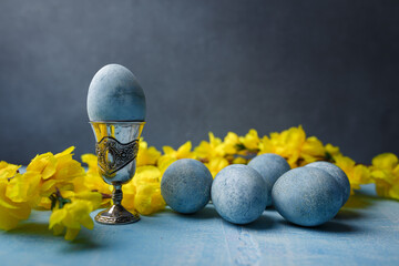 Blue painted egg in silver egg cup, easter eggs and yellow flowers on grey background. Close up shot, copy space