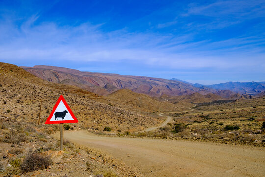 South Africa, Western Cape Province, Sheep crossing sign beside empty dirt road in Great Karoo