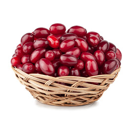 Dogwood basket isolated on a white background