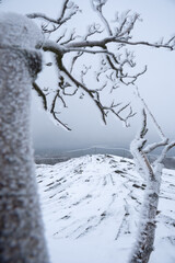Foggy winter on Hirtstein Mountain, Satzung (Erzgebirge). German Ore Mountains with snow, trees,...