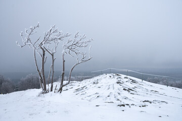Foggy winter on Hirtstein Mountain, Satzung (Erzgebirge). German Ore Mountains with snow, trees, basalt rocks and hoar frost. Global warming concept