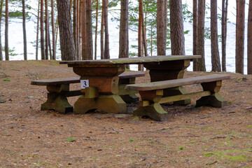 A large solid wood table with benches for sharing in a nature park in a pine forest