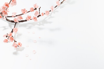 Festive Valentine day background - tender pink flowers sakura on twig in sunlight with shadows on...