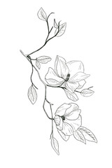 Hand drawn a branch of flower