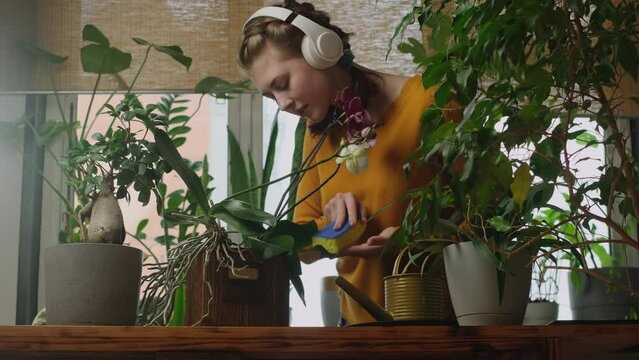 Housework, cleaning concept. Girl listening music doing housework in room with plants.
