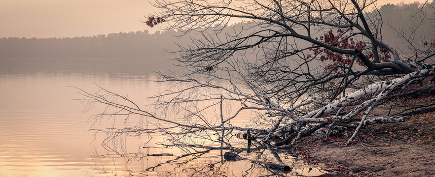 Melancholische Winterstimmung am brandenburgischen Straussee - Panorama aus 6 Einzelbildern