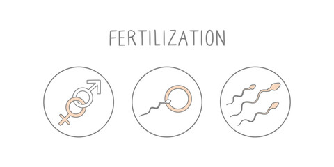 Fertilization icon set. Linear simple illustration pregnancy and childbirth. Motherhood signs. Vector