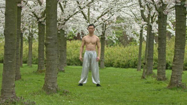 Topless chinese warrior fighting with shadow in cherry orchard.