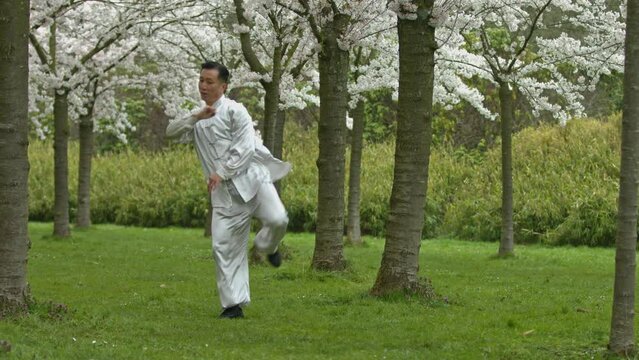 Kung-fu fighter in traditional kimono training in park.