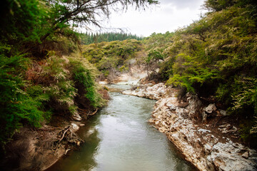 Waiotapu Stream Hot Springs in Rotorua, Waikato New Zealand