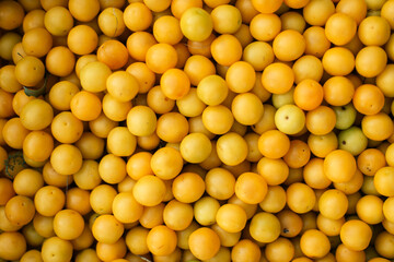 mini yellow plums in box