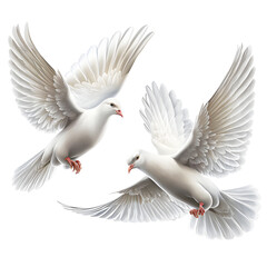 Fototapeta premium generative AI - white dove flying