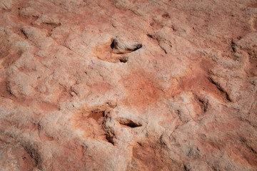 Moenkopi Dinosaur Tracks on Navajo Nation Lands
