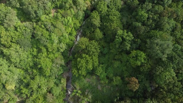 Zagorochoria Bilder Durchsuchen 3,014 Archivfotos, und