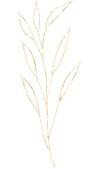 Gold elegant floral illustration